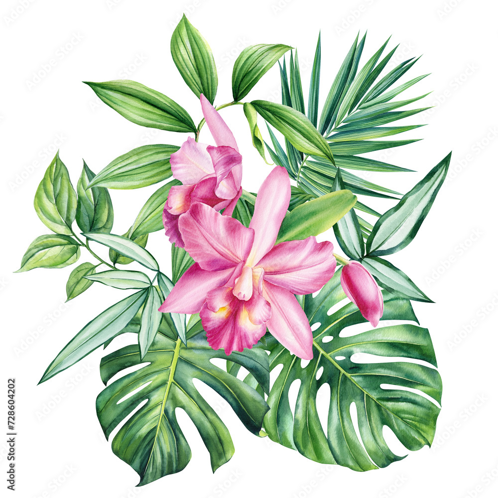 Exotic pink orchid flowers, palm leaves drawn in watercolor. Botanical trendy composition with tropical leaf hand draw 