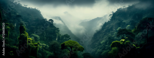 panoramic view of a tropical rainforest landscape in a foggy day - forest degradation and conservation of the Amazon rainforest concept © juancajuarez