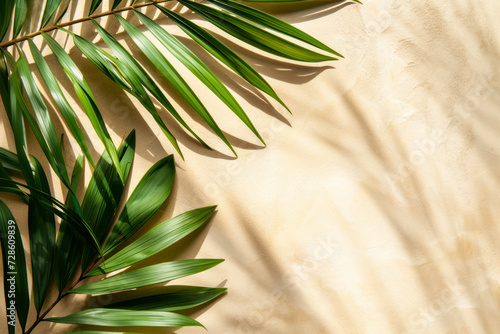Top view of green tropical leaf shadow on sand color background. Flat lay. Minimal summer concept with palm tree leaf.
