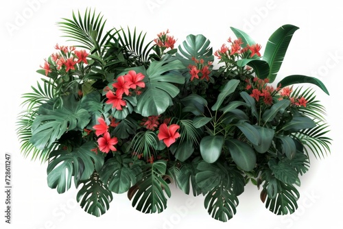 Plant With Red Flowers and Green Leaves