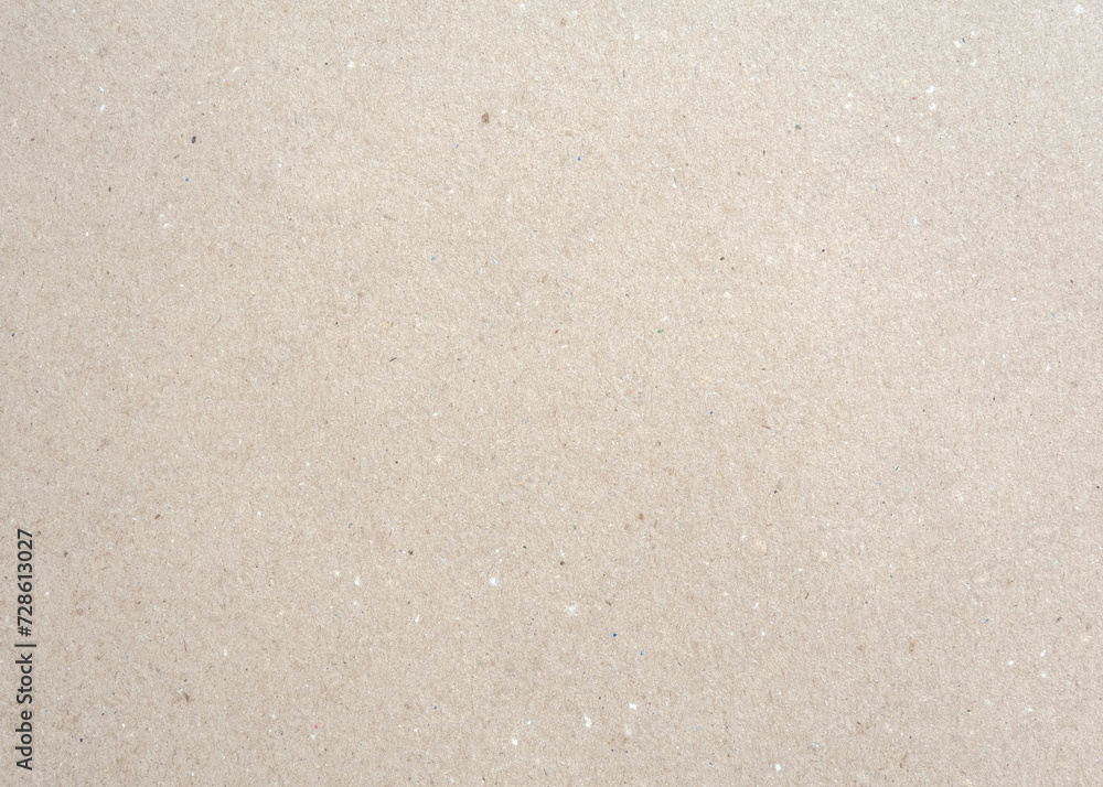 Obraz premium Recycled Paper Texture. Light Beige Eco-friendly Paper Sheet with Tiny Particles, Dirt and Spots. Grainy Paper Background. Grunge Empty Ecru Cardboard. No text. Textured Rough Paper Layout.