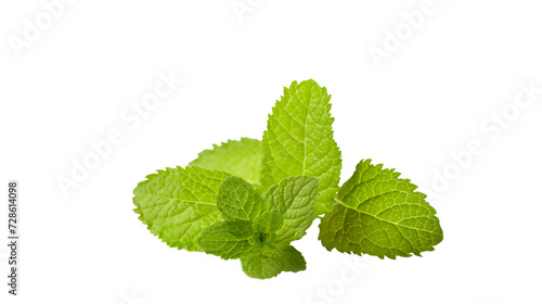 Peppermint essential oil in amber dropper bottle with fresh mint leaf isolated on white background 