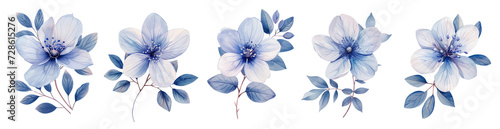 Blue and White Blossoms  Beautiful Summer Flowers in a Garden. cut out  Isolated on white. watercolor digital art  pastel color theme
