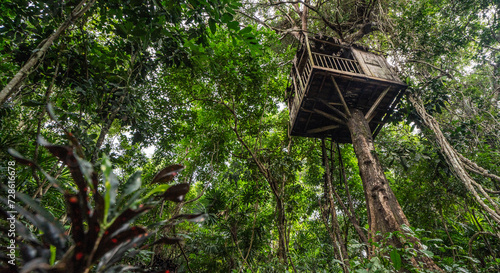 Treehouse in Vietnam jungle 