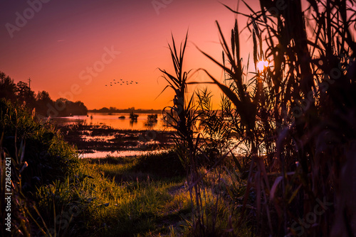 Tagus river at sunset in the riverside of the portuguese village of Chamusca
