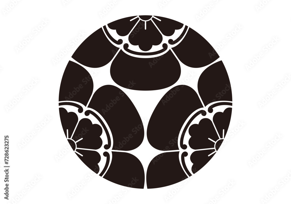 Obraz premium 三ツ割五瓜