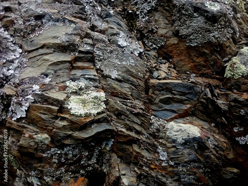 textura de montañas rocas, agrietadas, grises, plomas, se desmorona, de cerca, natural. Para diseño, web, roca, áspera, vacio, húmeda, musgos, caminata, viaje, montañista, escalar