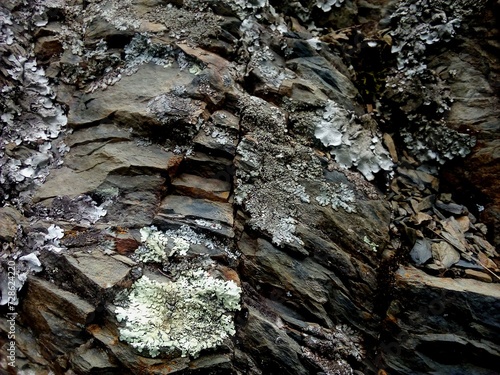 textura de montañas rocas, agrietadas, grises, plomas, se desmorona, de cerca, natural. Para diseño, web, roca, áspera,  vacio, húmeda, musgos, caminata, viaje, montañista, escalar photo