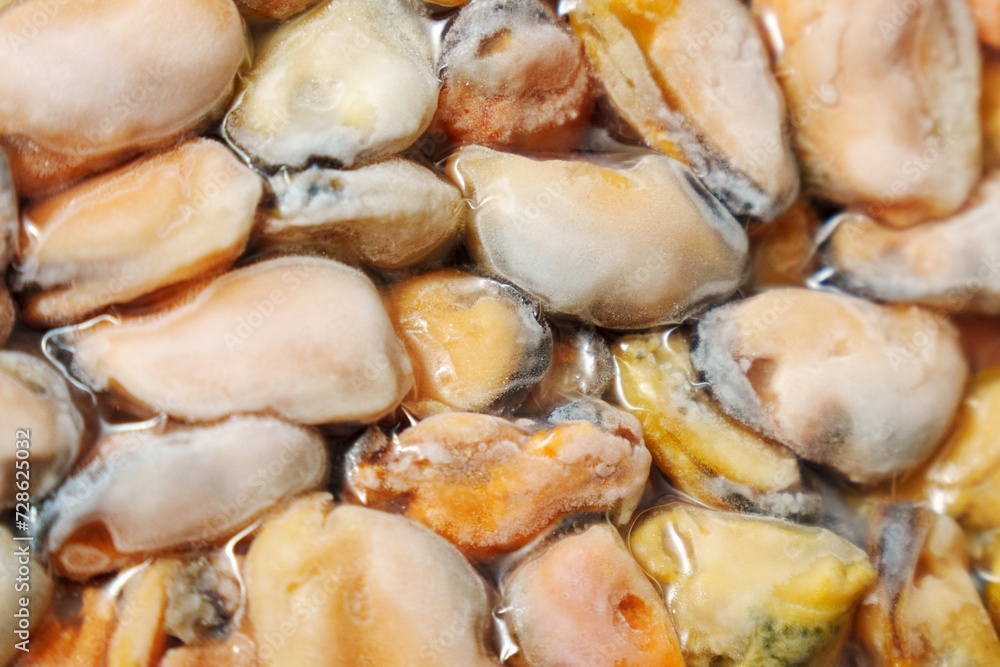 Packed, Cold Mussels Meat, Iced Seafood, Cooked Shellfish, texture Packed, Cold Mussels Meat, Iced Seafood, Cooked Shellfish, texture