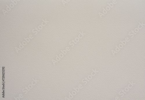 Light Dusty Beige Paper with a Delicate Embossed Surface. Light Warm Gray Clear Decorative Cardboard. Paper Texture. No text. Textured Rough Paper Layout. Elegant Paper Sheet with Soft Structure.