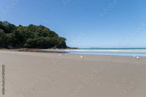 Sunny summer day at Waihi Beach  New Zealand. Ideal for travel brochures  vacation advertisements  or any project seeking to capture the beauty of coastal landscapes and serene beach destinations.