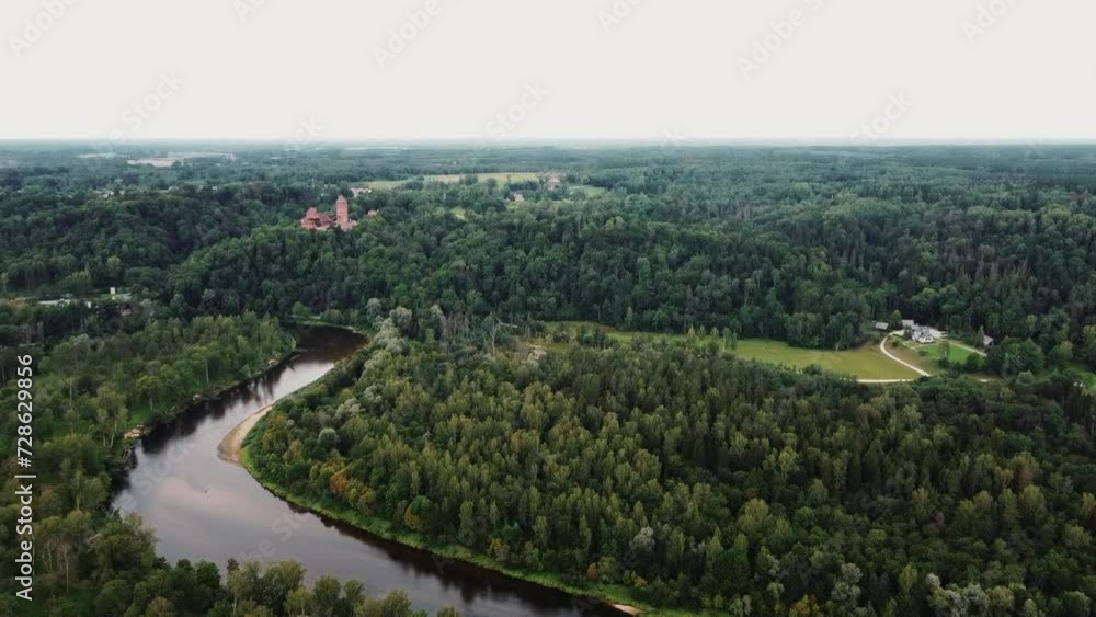 view of a forest and river view of a forest and river