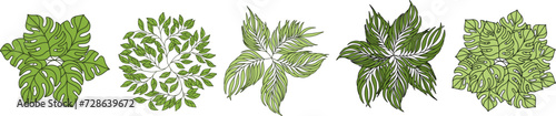 Tree for architectural floor plans. Entourage design. Various trees, bushes, and shrubs, top view for the landscape design plan. Vector illustration.
