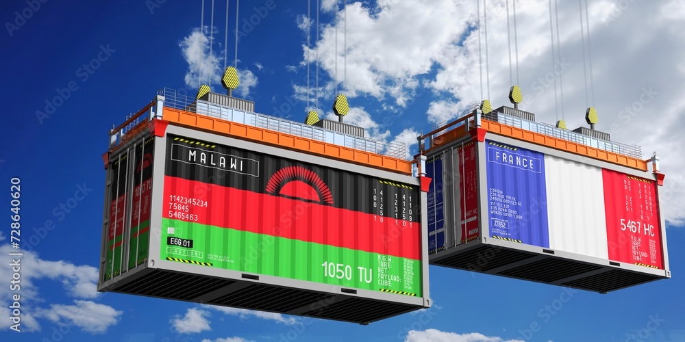 Shipping containers with flags of Malawi and France - 3D illustration