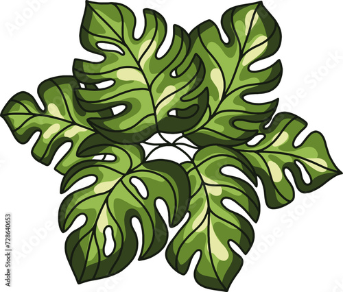 Monstera for architectural floor plans. Entourage design. Top view for the landscape design plan. Vector illustration.