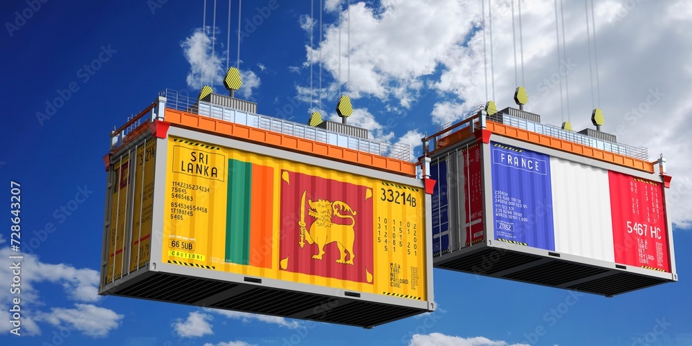 Shipping containers with flags of Sri Lanka and France - 3D illustration Shipping containers with flags of Sri Lanka and France - 3D illustration