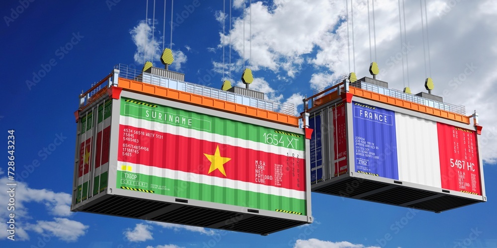 Shipping containers with flags of Suriname and France - 3D illustration