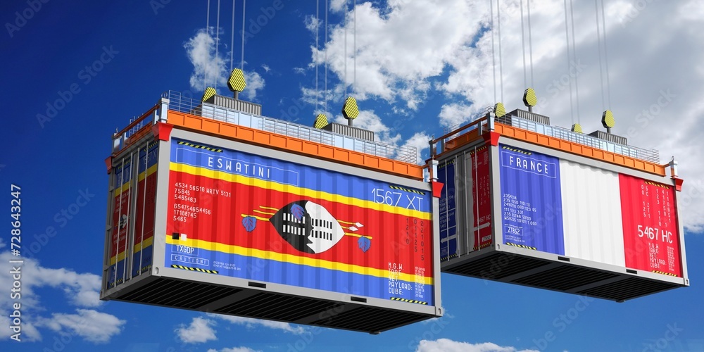 Shipping containers with flags of Eswatini and France - 3D illustration