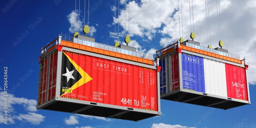 Shipping containers with flags of East Timor and France - 3D illustration