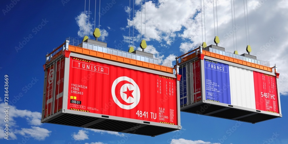 Shipping containers with flags of Tunisia and France - 3D illustration