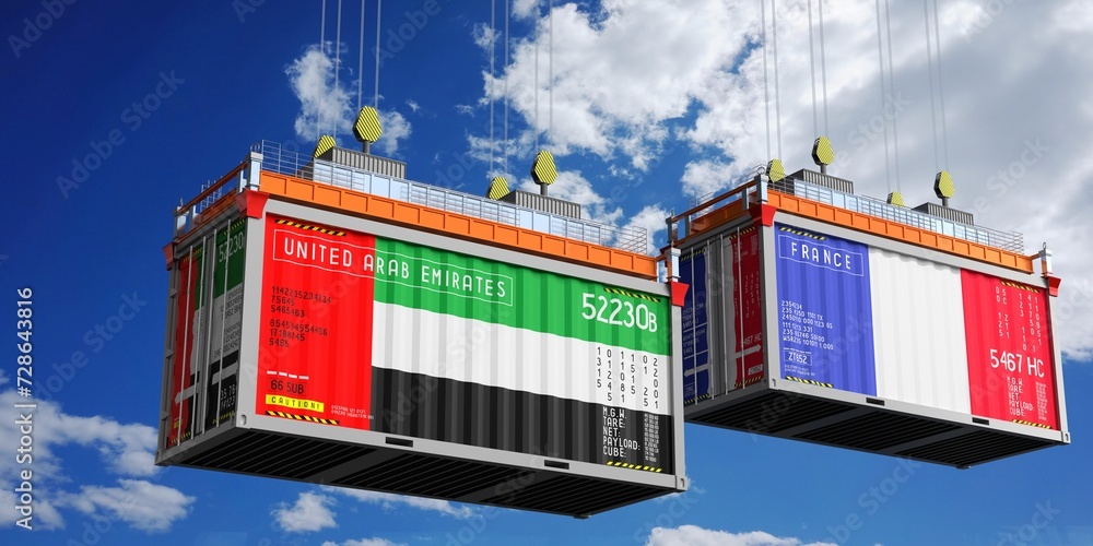 Shipping containers with flags of United Arab Emirates and France - 3D illustration
