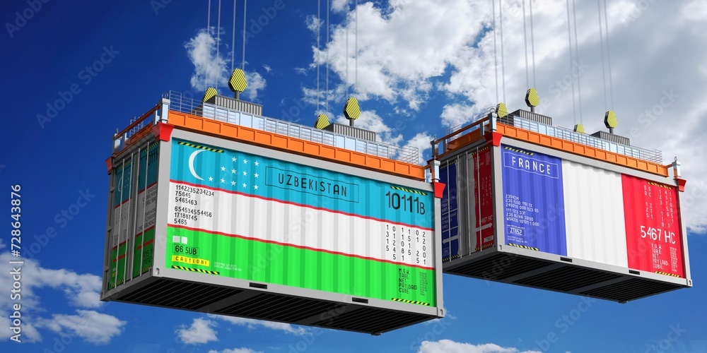 Shipping containers with flags of Uzbekistan and France - 3D illustration