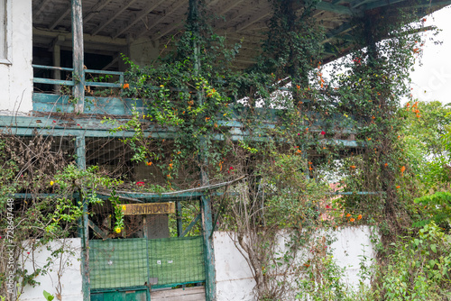 old abandoned house with climbing plants © VimerArt Studio