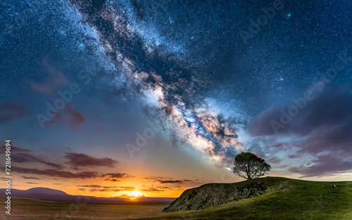 Silhoutte Tree Landscape with Cosmic Sky