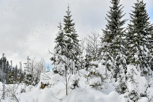 Mostviertel in winter dress