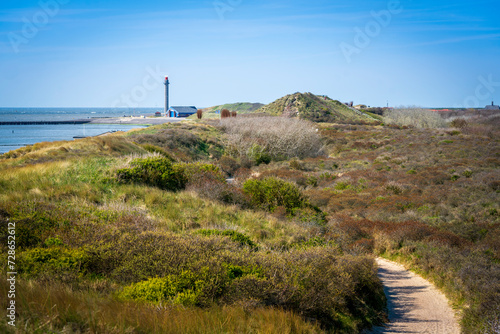 A winding pathway meanders through the grassy dunes along the coast near Westkapelle on a clear blue sky day, offering a tranquil journey amidst nature's beauty and the soothing sound of the sea.