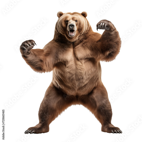 Aggressive brown bear in epic pose isolated on transparent and white background. Ideal for use in advertising. Generative ai © Dima