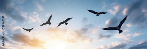 A flock of five birds are flying in the sky, wide light, 2d illustration, 64K, high detail © Dara