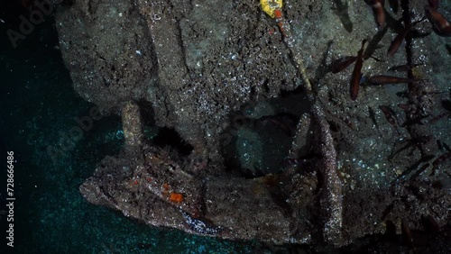 Wreck of the 38m on the Atlantic Coast of France, by 38m depth photo