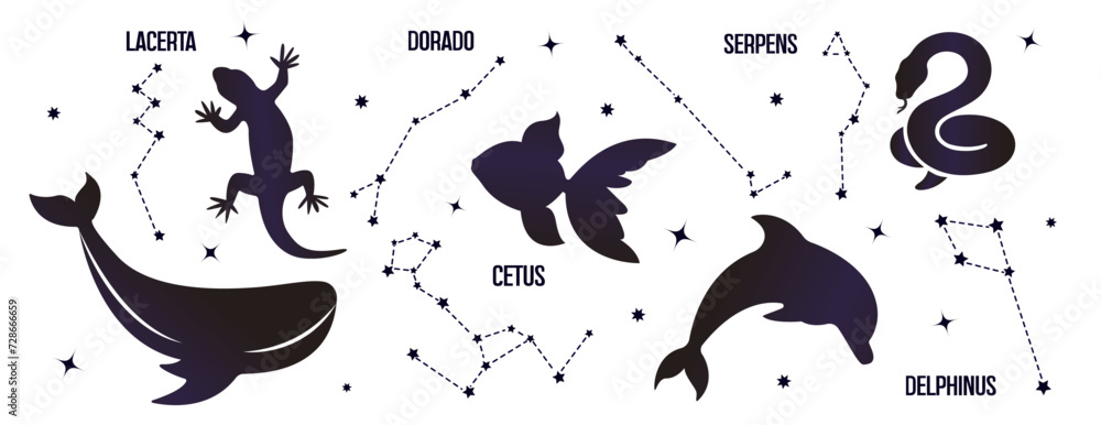 Naklejka premium Set of constellations of wild animals isolated on white background