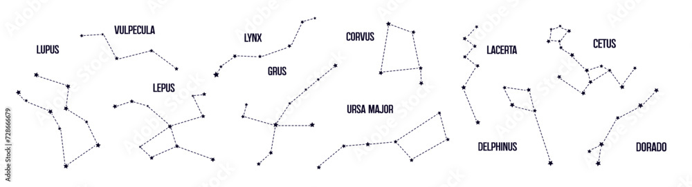 Wild animal constellations collection on white background. Astrological set Wild animal constellations collection on white background. Astrological set