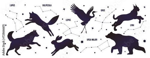 Wild animals constellations set isolated on white background photo