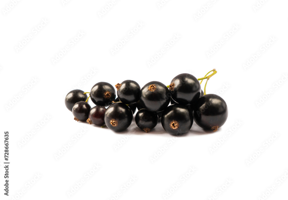 Blackcurrant branch isolated on white background. Currant sprig on white. Black currant isolated on white background. Ripe and tasty currant. Blackcurrant branch isolated on white background. Currant sprig on white. Black currant isolated on white background. Ripe and tasty currant.