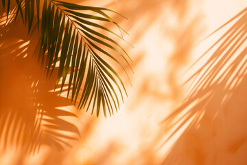 Warm orange and beige summer color background with tropical palm shadow.