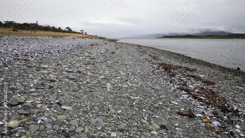 Panorama view of the rocky beach in Tierra del Fuego, Patagonia Argentina. photo