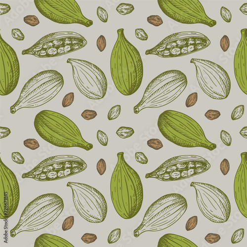 Cardamom aromatic camphor spice sketch seamless pattern hand drawn repeating vector background fresh and dried fruit pods cardamom plant. Eastern traditional medicine, food, harvest seeds cardamom