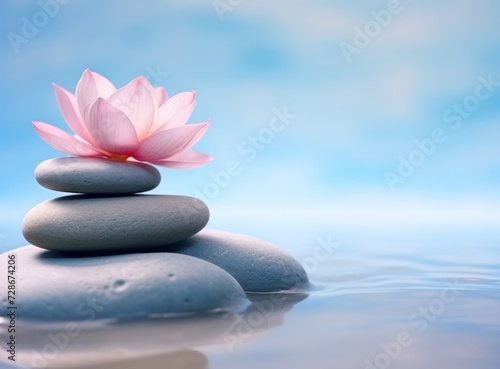 Zen Balance  Tranquil Harmony of Flowered Rocks in Water Meditation