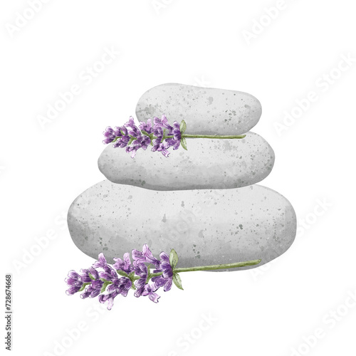 Spa Composition with massage stones and lavender flowers. Beauty spa treatment and relax concept for wellness, massage, meditation center. Hand drawn illustration photo