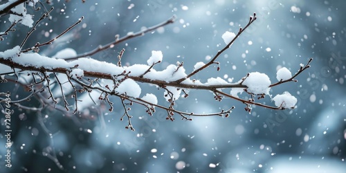Snow-covered branch with natural backdrop, Generative AI