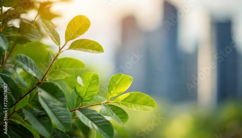 beautiful nature view green leaf on blurred building background under sunlight with bokeh and copy space using as background natural plants landscape ecology wallpaper concept