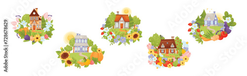 Village Houses Standing on Meadow with Crop and Flower Vector Set