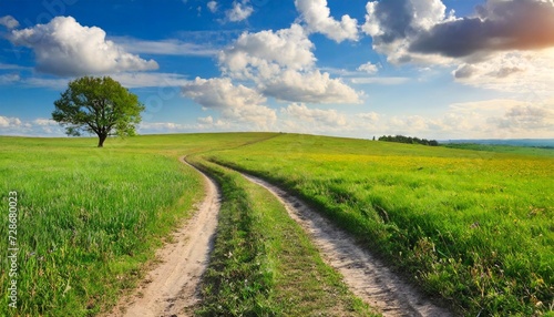 rut road across meadow