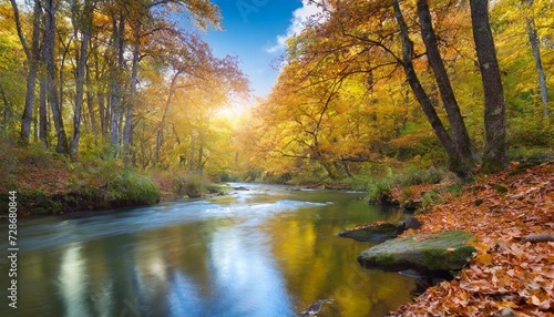 autumn quiet over river in forest