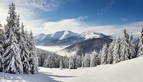 winter landscape of mountains in snow in fir forest © Emanuel