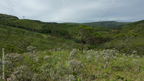 Scenic landscape of typical brazilian cerrado in Minas Gerais, Brazil. Aerial View