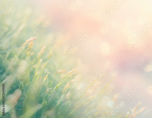 Pastel springtime background with green meadow grass blades and copyspace. 